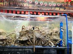 -东江海鲜酒家(艺都分店)
