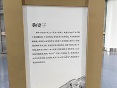 -银川河东国际机场
