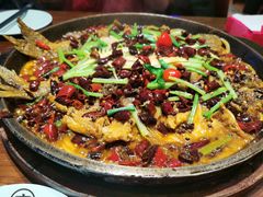 -老板恋上鱼(荣盛广场店)