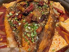 -眉州东坡(团结湖店)