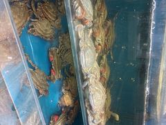 -小铜锣湾海鲜家常菜馆(河西店)