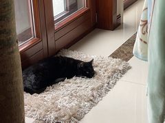 -璞·澐间影院式足道SPA(尚悦湾店)