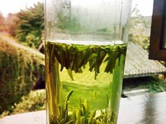 -见山书院