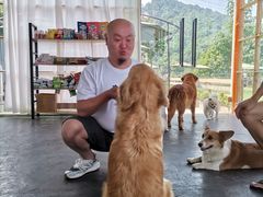 -趣多多宠物公园·宠物训犬学校·宠物寄养