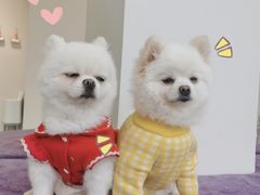 -怪兽屋·羊驼·猫咖·狗咖(俊华广场店)