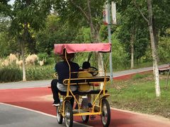 -上海长兴岛郊野公园