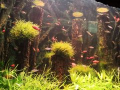 -多彩贵州城极地海洋世界