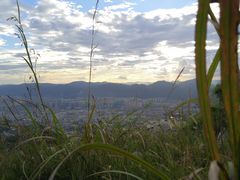 -长虫山生态公园风景林