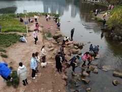 -重庆彩云湖湿地公园