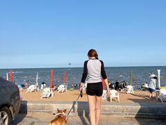 -兴城海滨风景区