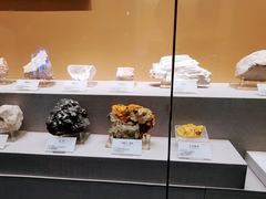 -湖南省地质博物馆