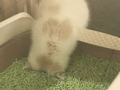 -海底捞火锅(九霄梦天地店)
