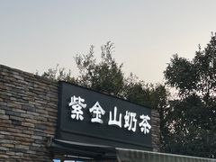 -紫金山山顶公园