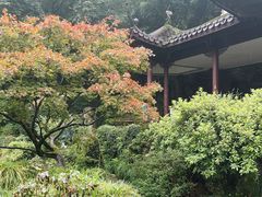 -杭州黄龙洞