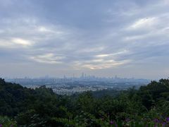 -火炉山森林公园