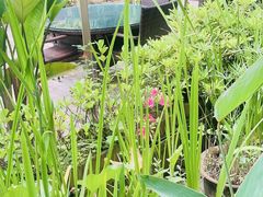-丫口花园餐厅·融合菜