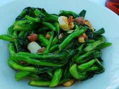 -柴门·头啖汤(天安千树店)