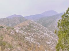 -北京鹫峰国家森林公园