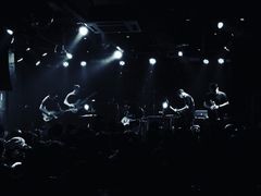 -坚果NUTS