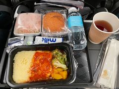 -新加坡航空公司(ION)