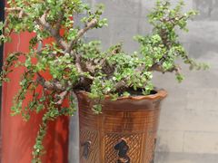 -厉家菜(金宝街店)
