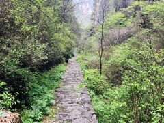 -山西壶关太行山大峡谷旅游景区