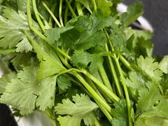 -新乡杨记红焖羊肉火锅(天坛南门店)