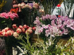 -Flower in(密渡桥店)