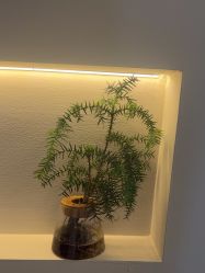 -栖SPA·ONDA ·海菲秀·皑皑科技美肤中心