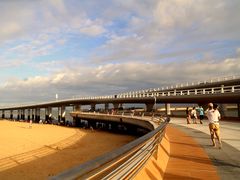 -演武大桥观景平台