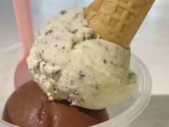 -Mint Gelato(二厂店)