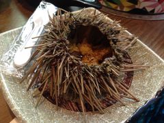 海胆-阳光岛·海鲜盛宴(银泰中心in99店)
