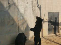 -石家庄市动物园