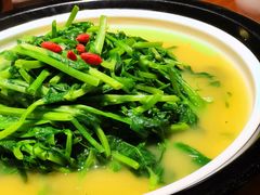 -燕郊烧鸽子(广安路店)