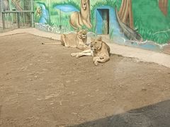 -渭南桃花源民俗文化园