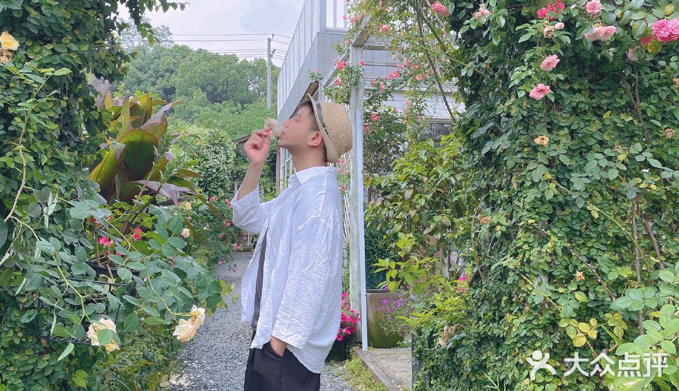 初夏の绿｜隐蔽在南城的这家店。