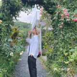 初夏の绿｜隐蔽在南城的这家店。