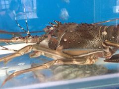 -芽庄老成都川菜馆