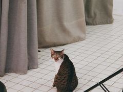-ID.PHOTO照相馆(嘉里企业中心店)