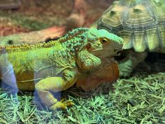 -海合安武汉极地海洋公园