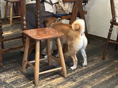 -三目仓咖啡(贤南路店)