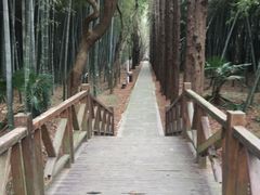 -同里国家湿地公园