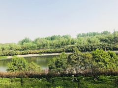 -西安汉城湖景区