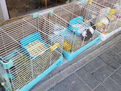-后海16号·北京私房菜