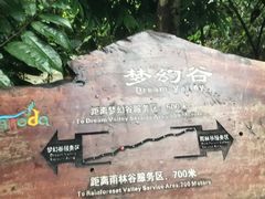 -呀诺达热带雨林