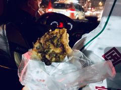 萝卜饺子-半月镰胡姐脆皮萝卜饺子