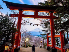 -富士山吉田線五合目