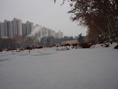 -陕西师范大学(雁塔校区)