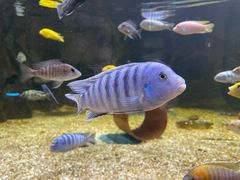 -顺德南宏海立方海洋公园