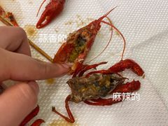 -簋街仔仔小龙虾(总店)